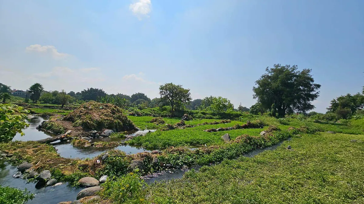 WhatsApp Image 2026-03-31 at 3.38.40 PM