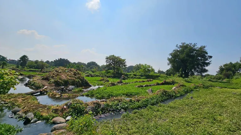 WhatsApp Image 2026-03-31 at 3.38.40 PM