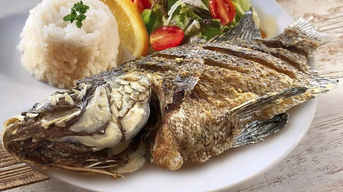 657522256_974165971850335_4654691690321260472_n