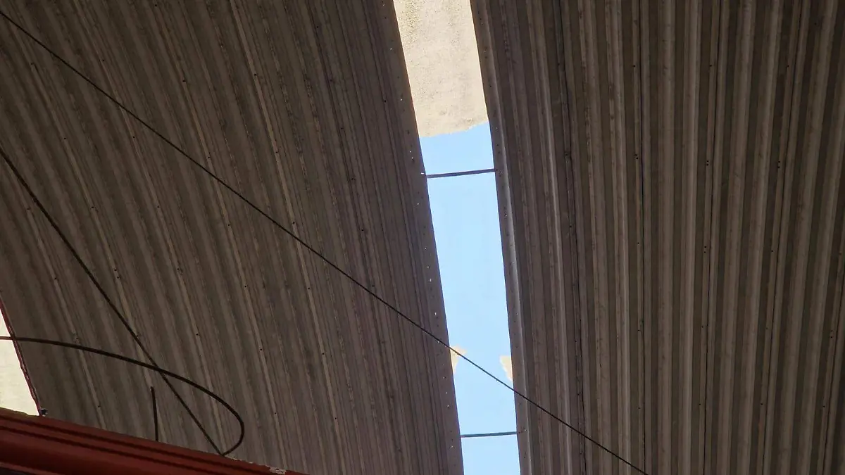 WhatsApp Image 2026-04-04 at 2.50.27 PM