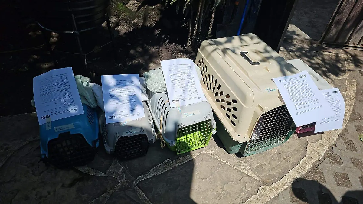 515501797_1341101218055064_8848567649672731248_n