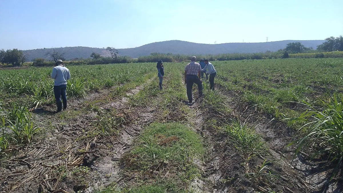 13c0a913-e472-45e2-a4ae-3252dfa7c87b