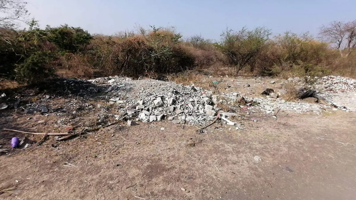 WhatsApp Image 2026-04-12 at 13.53.16