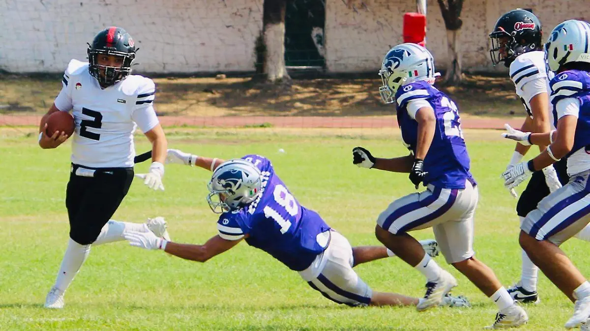 WhatsApp Image 2026-04-12 at 15.44.30