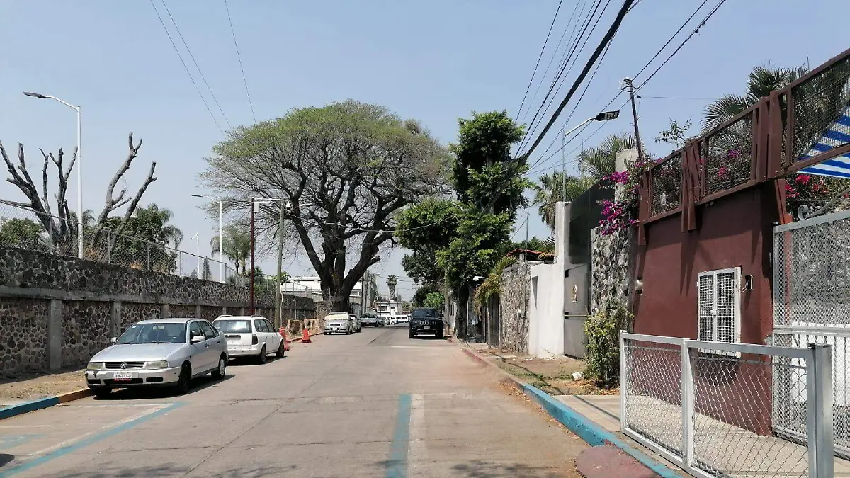 WhatsApp Image 2026-04-13 at 11.23.13