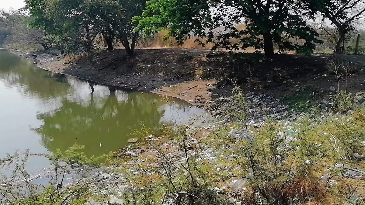 WhatsApp Image 2026-04-13 at 17.13.31