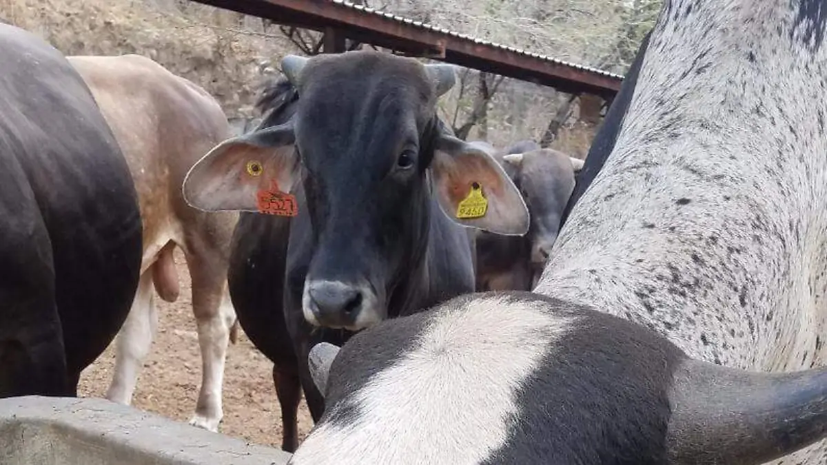 6b764ca0-f11d-4aab-92bd-b1483ee45ad5