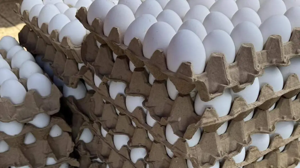 650149428_26202566759399373_4364500772679335368_n