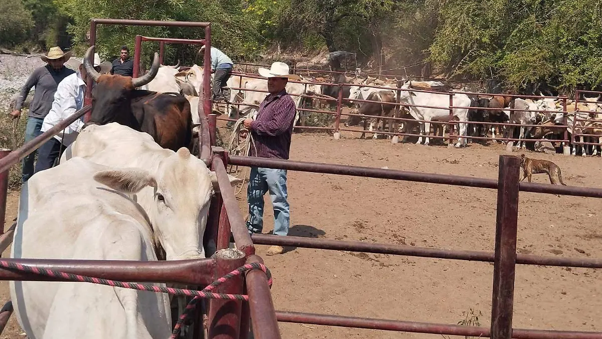 WhatsApp Image 2026-04-15 at 13.43.22