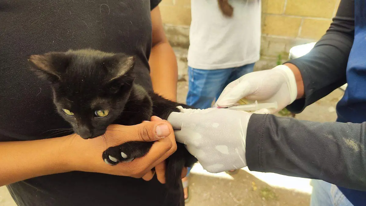 WhatsApp Image 2026-04-17 at 10.11.17 AM