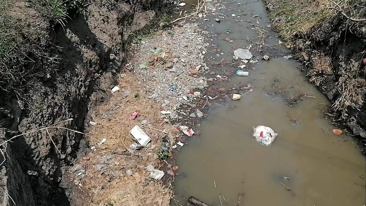 WhatsApp Image 2026-04-17 at 13.56.20