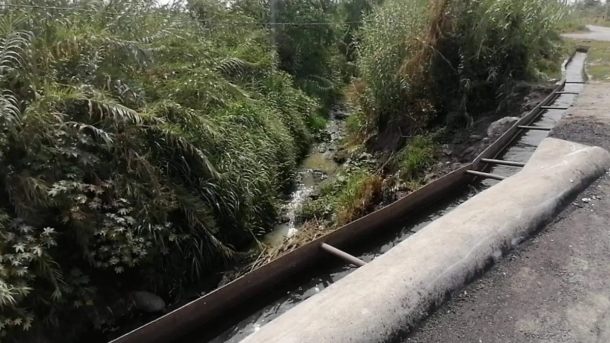 WhatsApp Image 2026-04-19 at 14.22.35