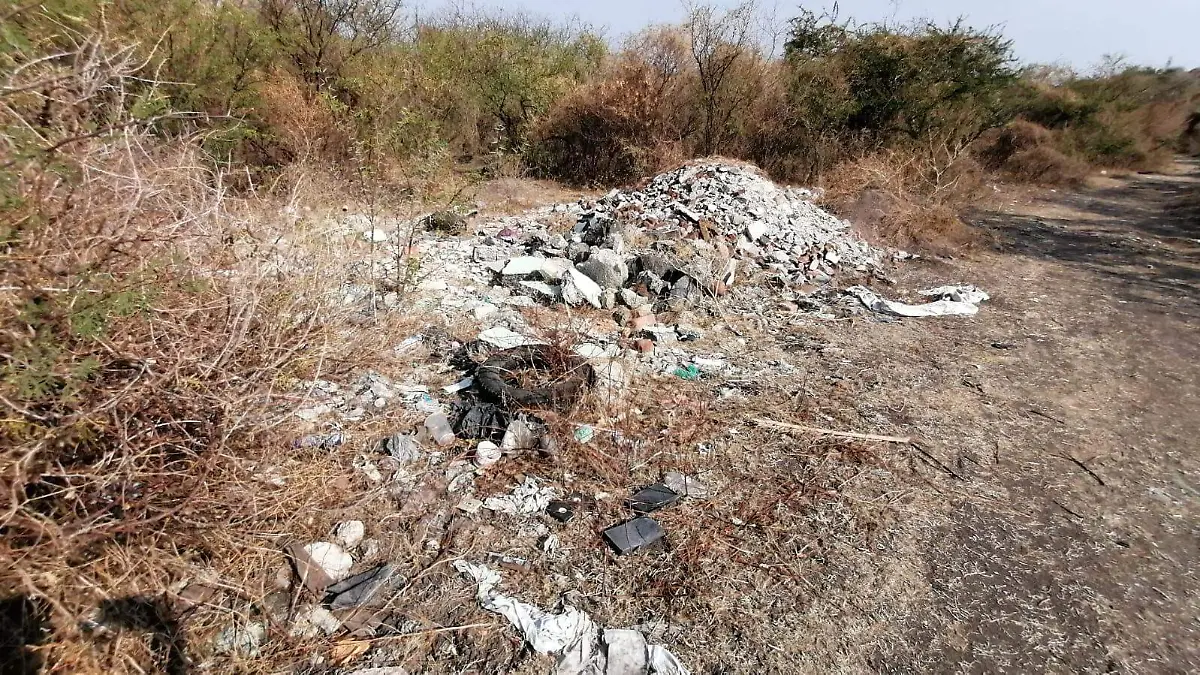 WhatsApp Image 2026-04-20 at 15.42.36