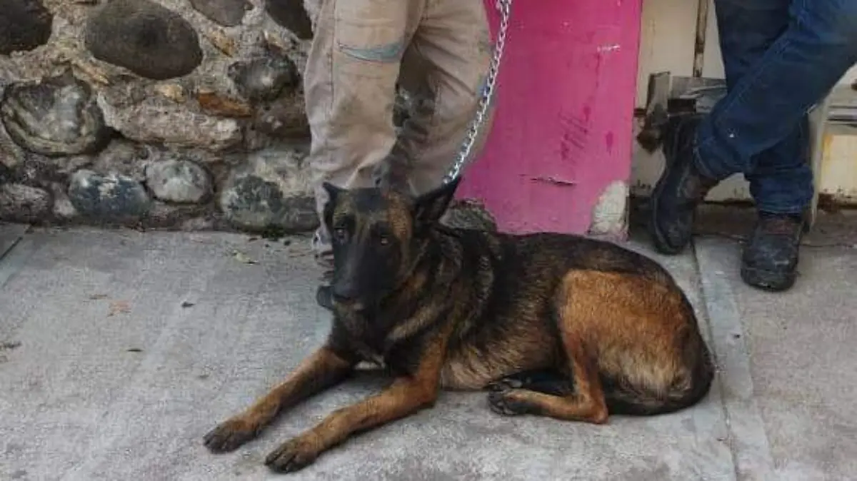 579198987_1368960701935782_5792360594163647408_n