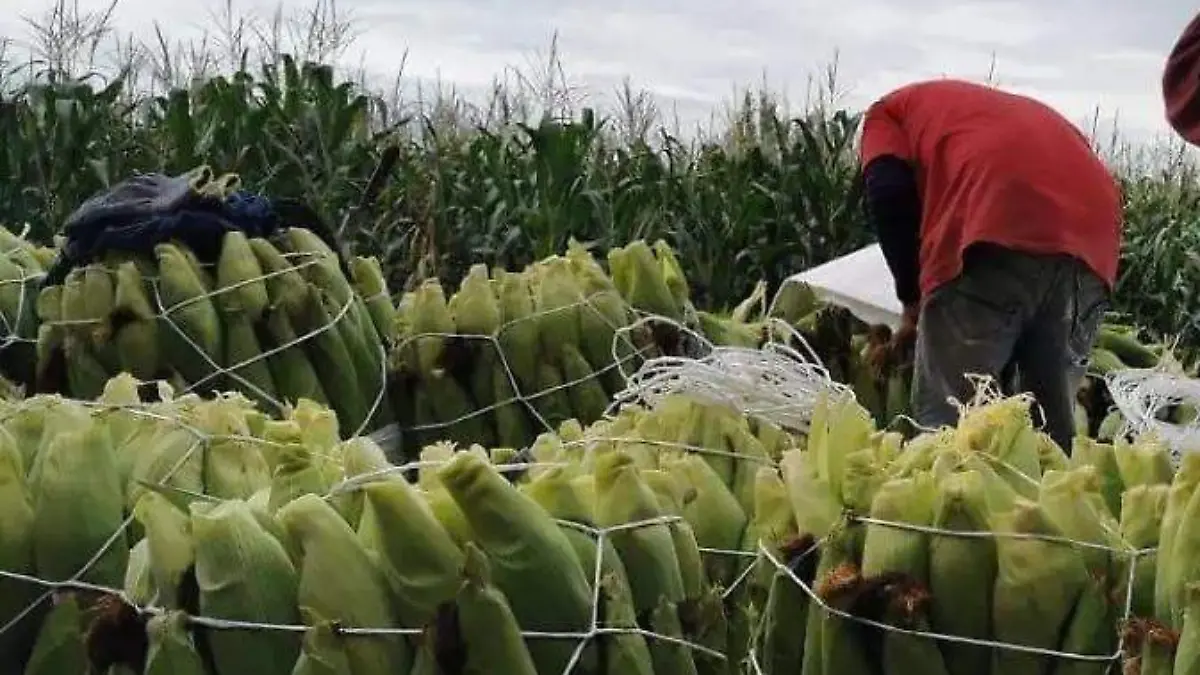 WhatsApp Image 2026-04-23 at 17.21.52