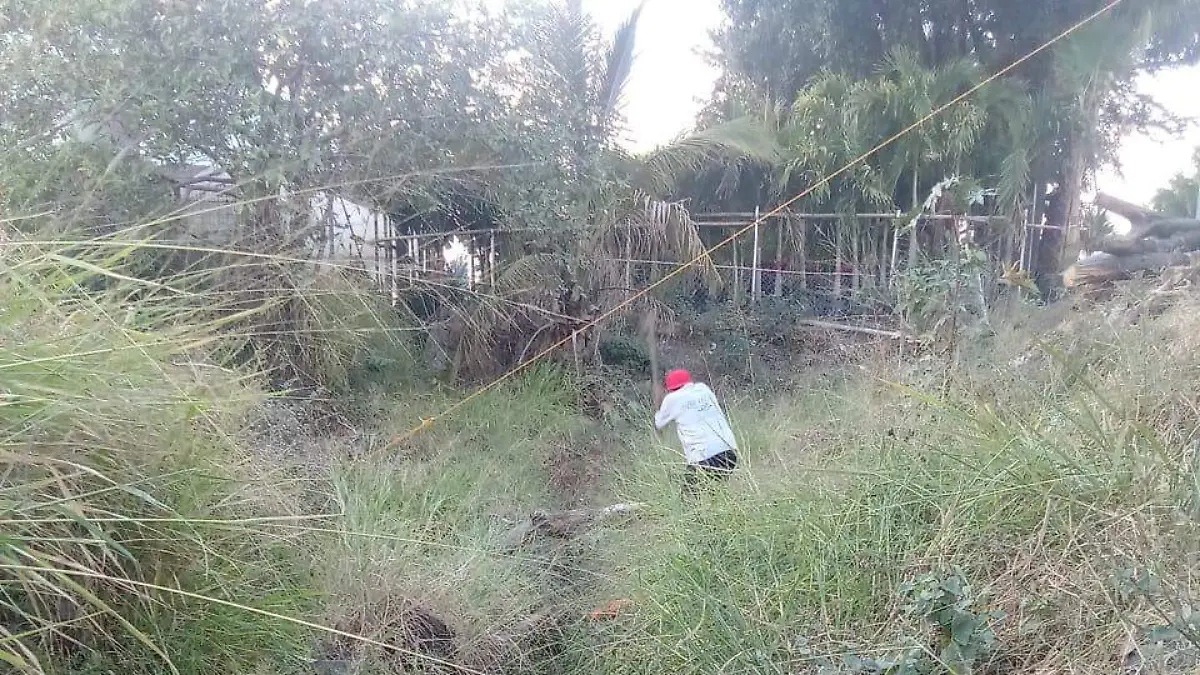 WhatsApp Image 2026-04-23 at 22.32.28