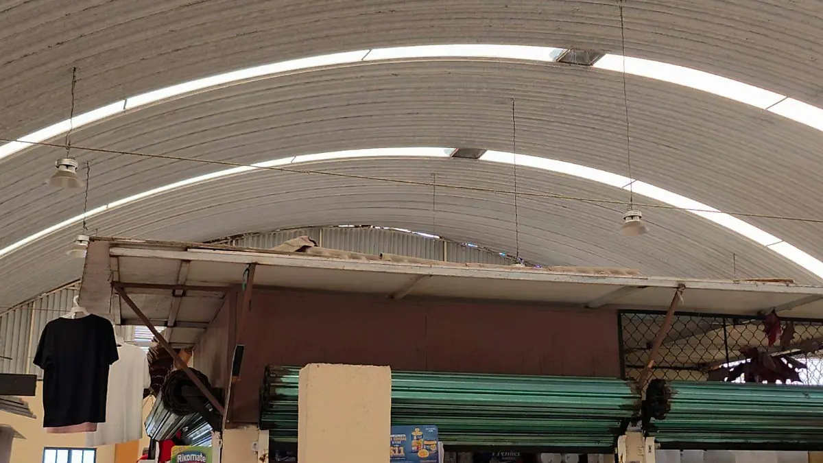 WhatsApp Image 2026-04-25 at 5.17.15 PM