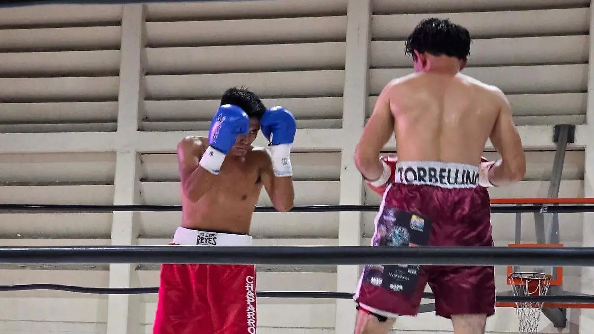 WhatsApp Image 2026-04-26 at 17.00.57 (2)