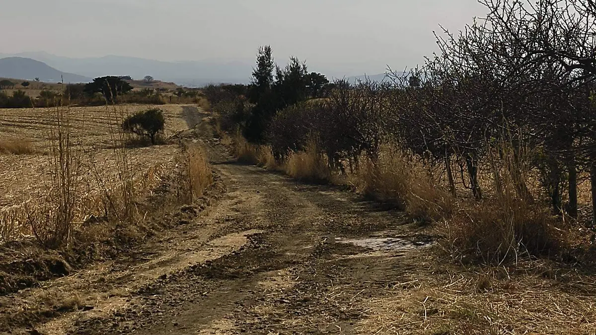 628353004_122168825762797687_1120072829326956141_n