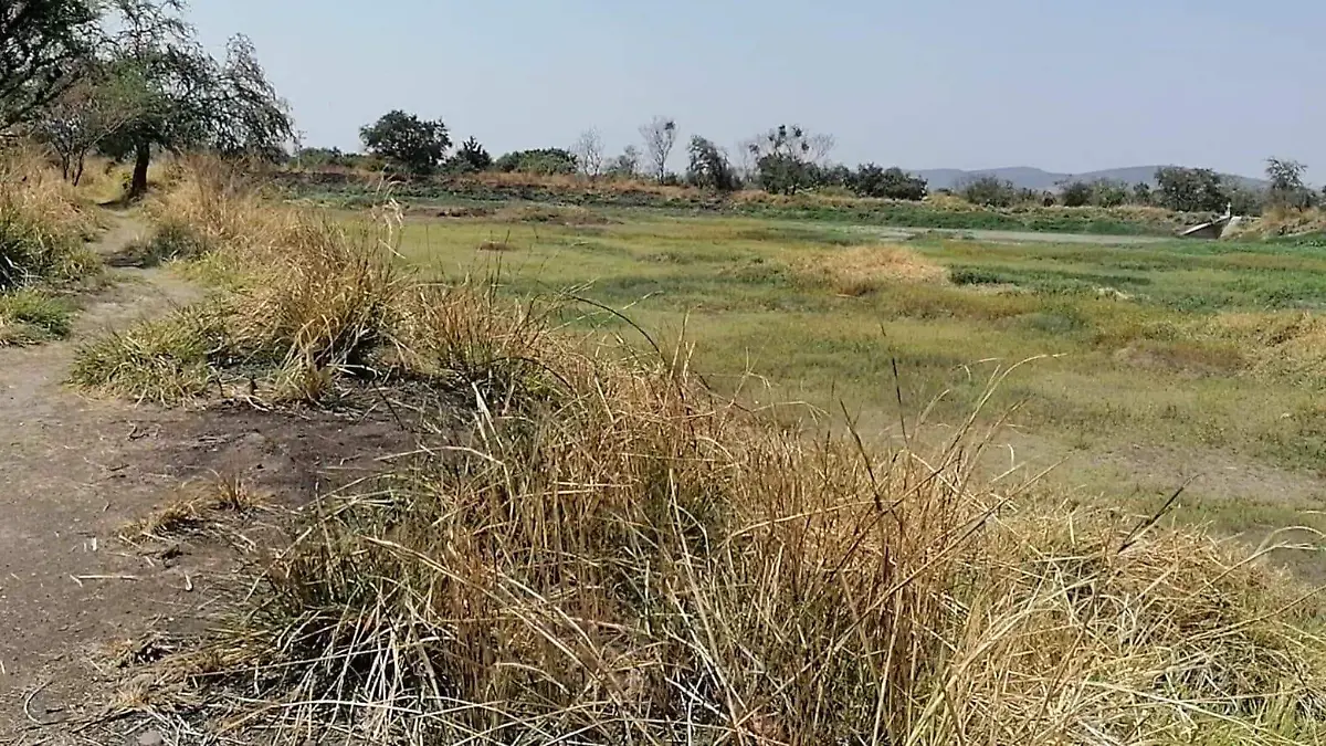 WhatsApp Image 2026-04-28 at 14.22.18