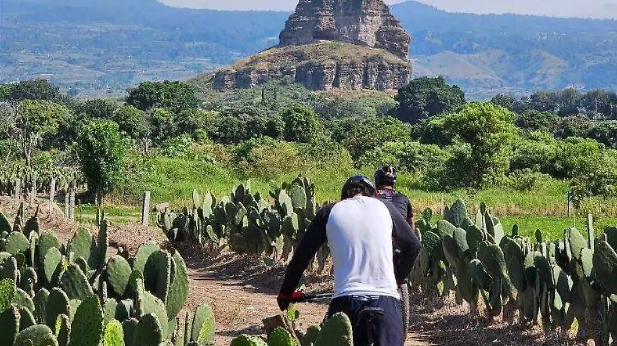 TLAYA
