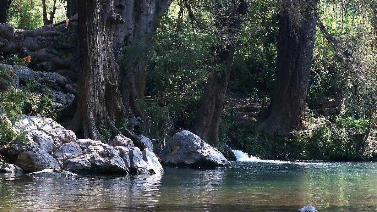 1017958_Manantial Santa Lucia Yautepec_web