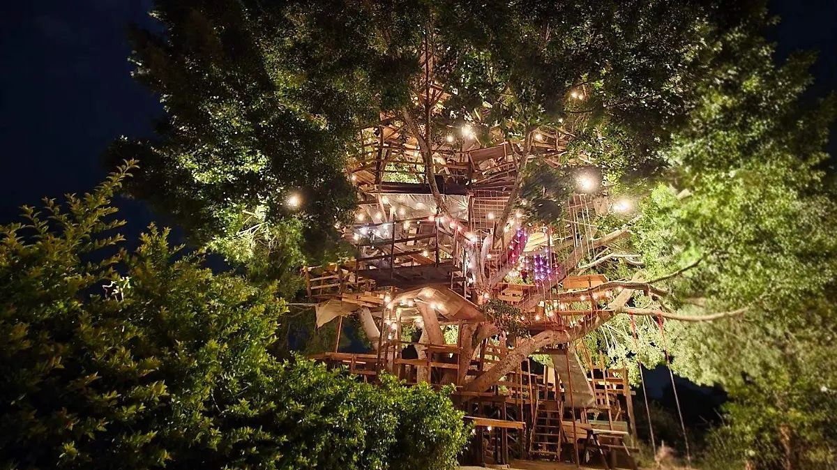 La-Casa-Del-Árbol