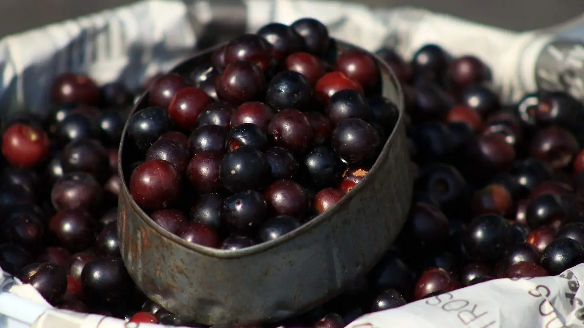 813367_Cuernavaca Mercado Verduras_web