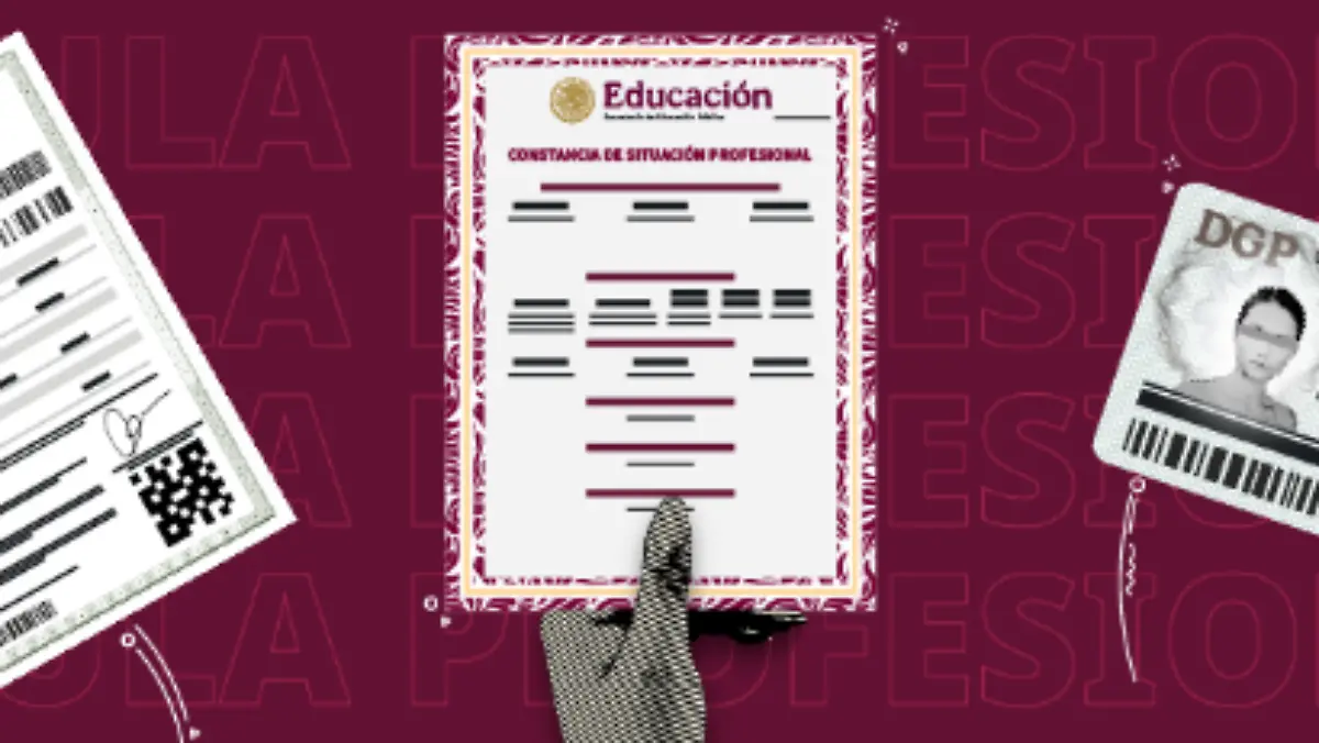 Registro-Nacional-de-Profesionistas