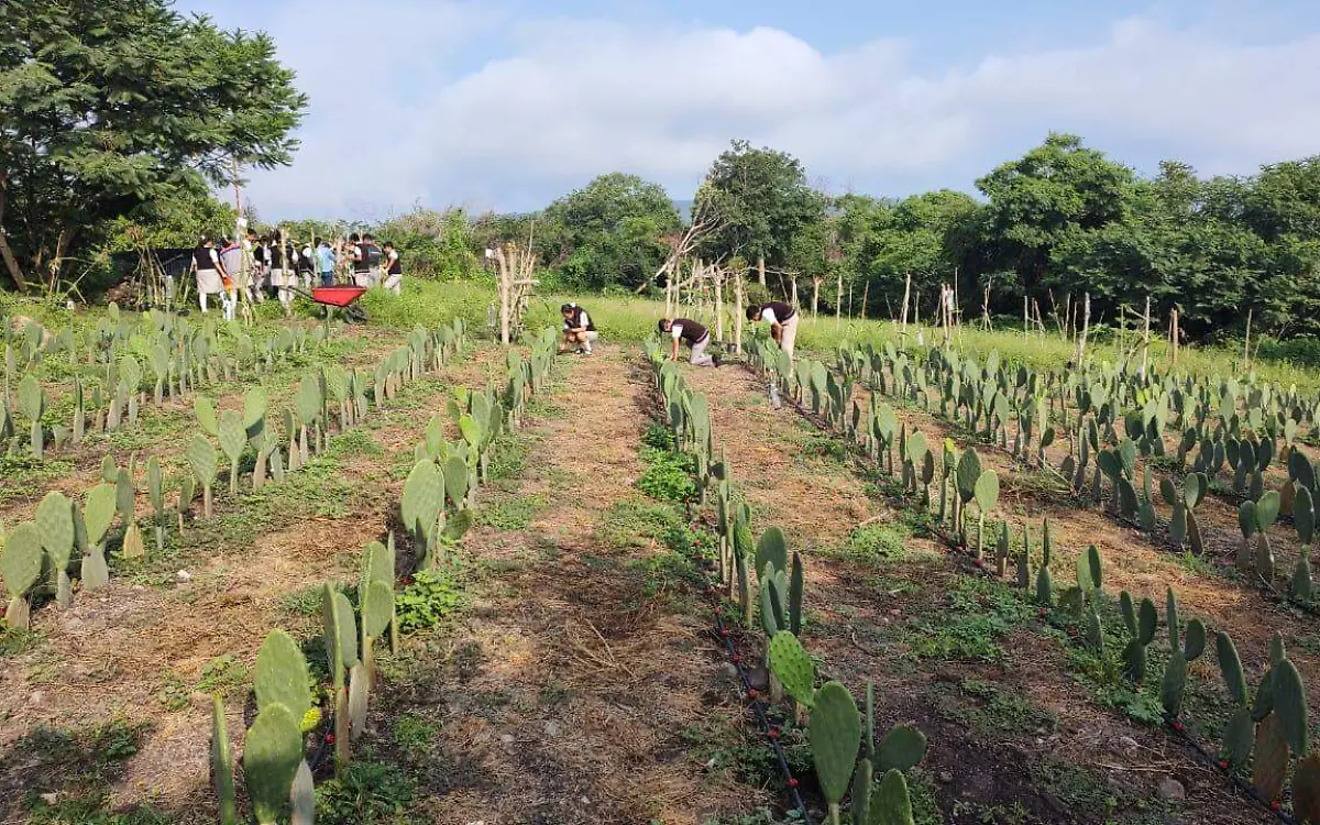 WhatsApp Image 2023-12-26 at 5.07.07 PM