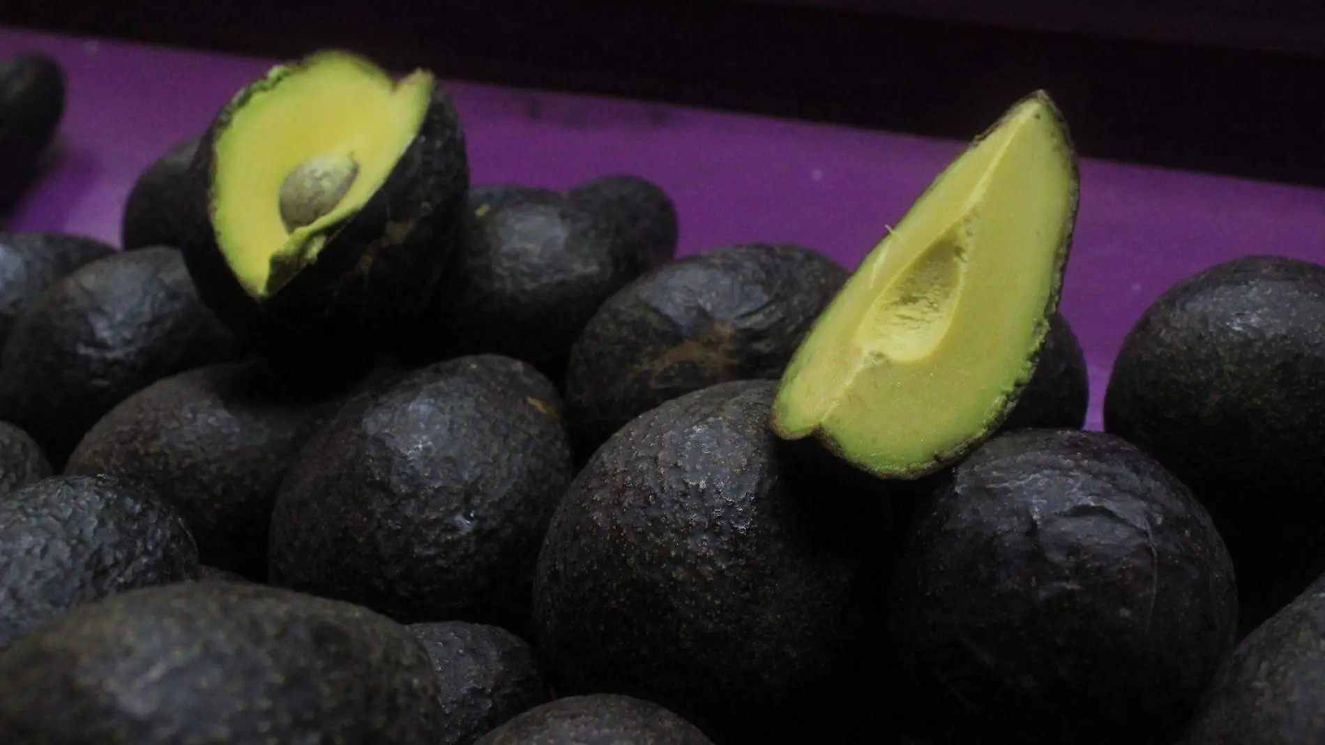 aguacate-agustin