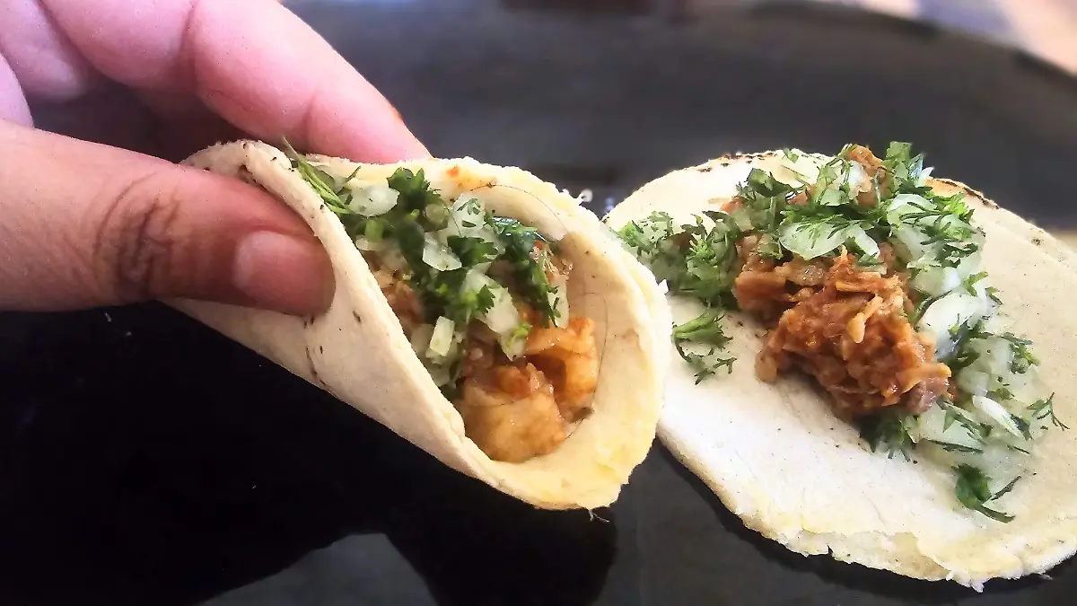 taquitos-con-cilantro-maritza-cuevas
