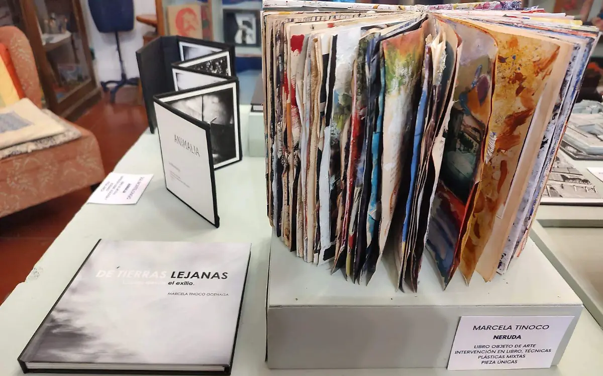 Exposición Espacio M (3)