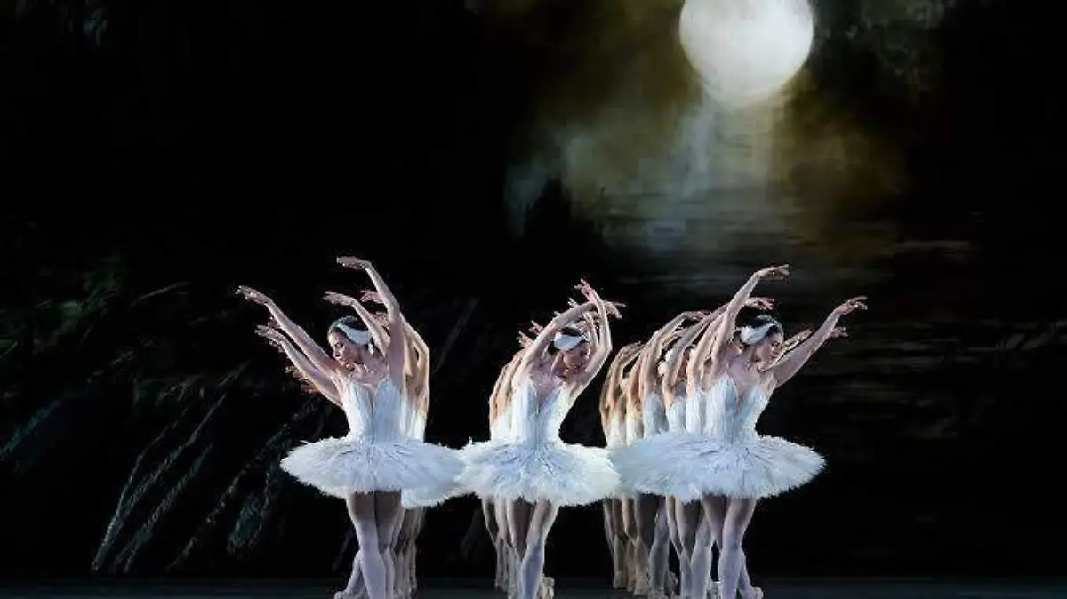 images (11)