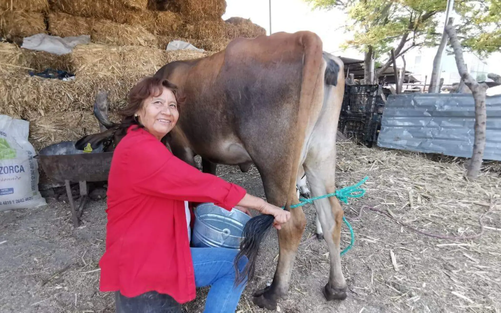 mamá-ganadera-rosaura