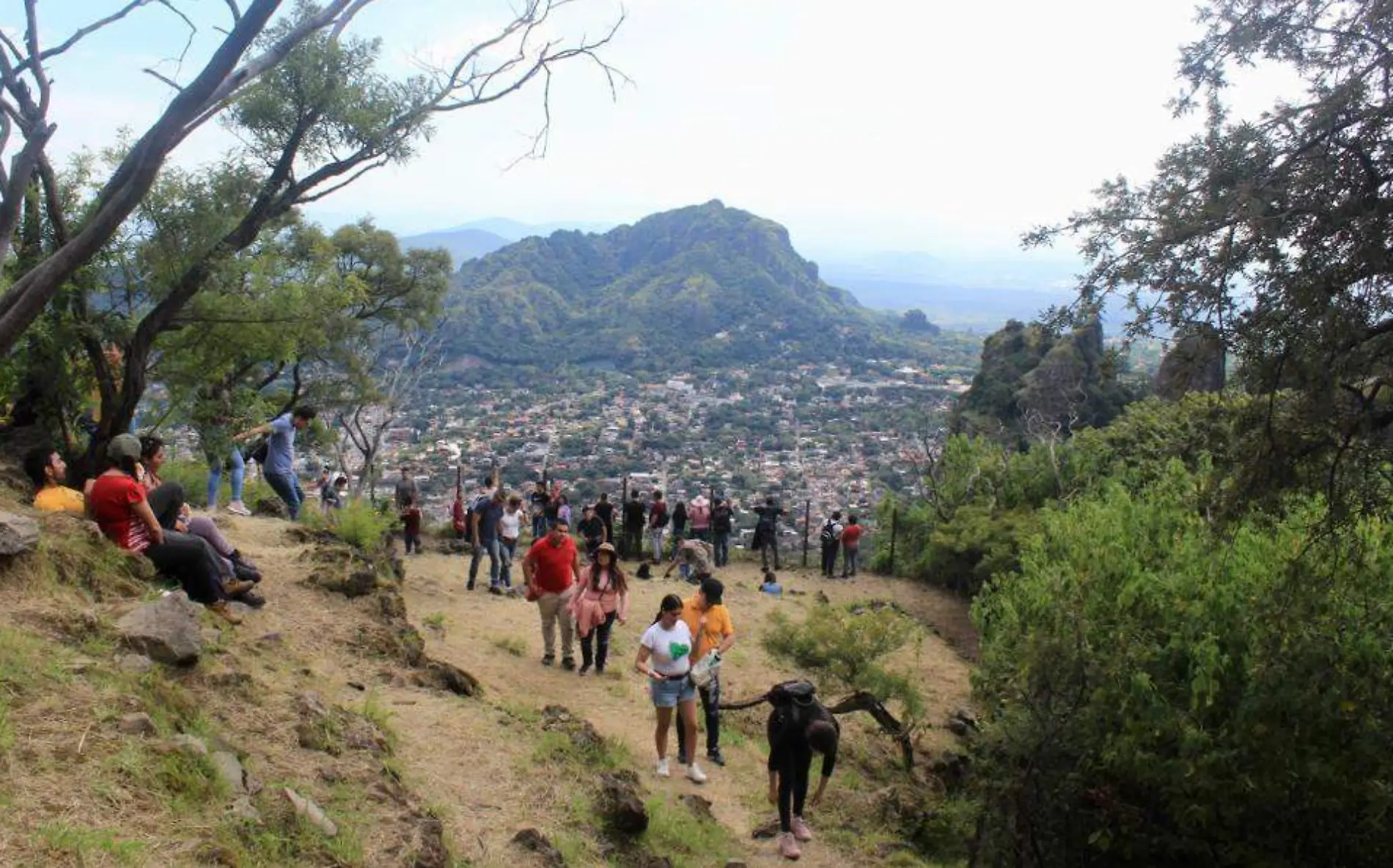 tepozteco-dos