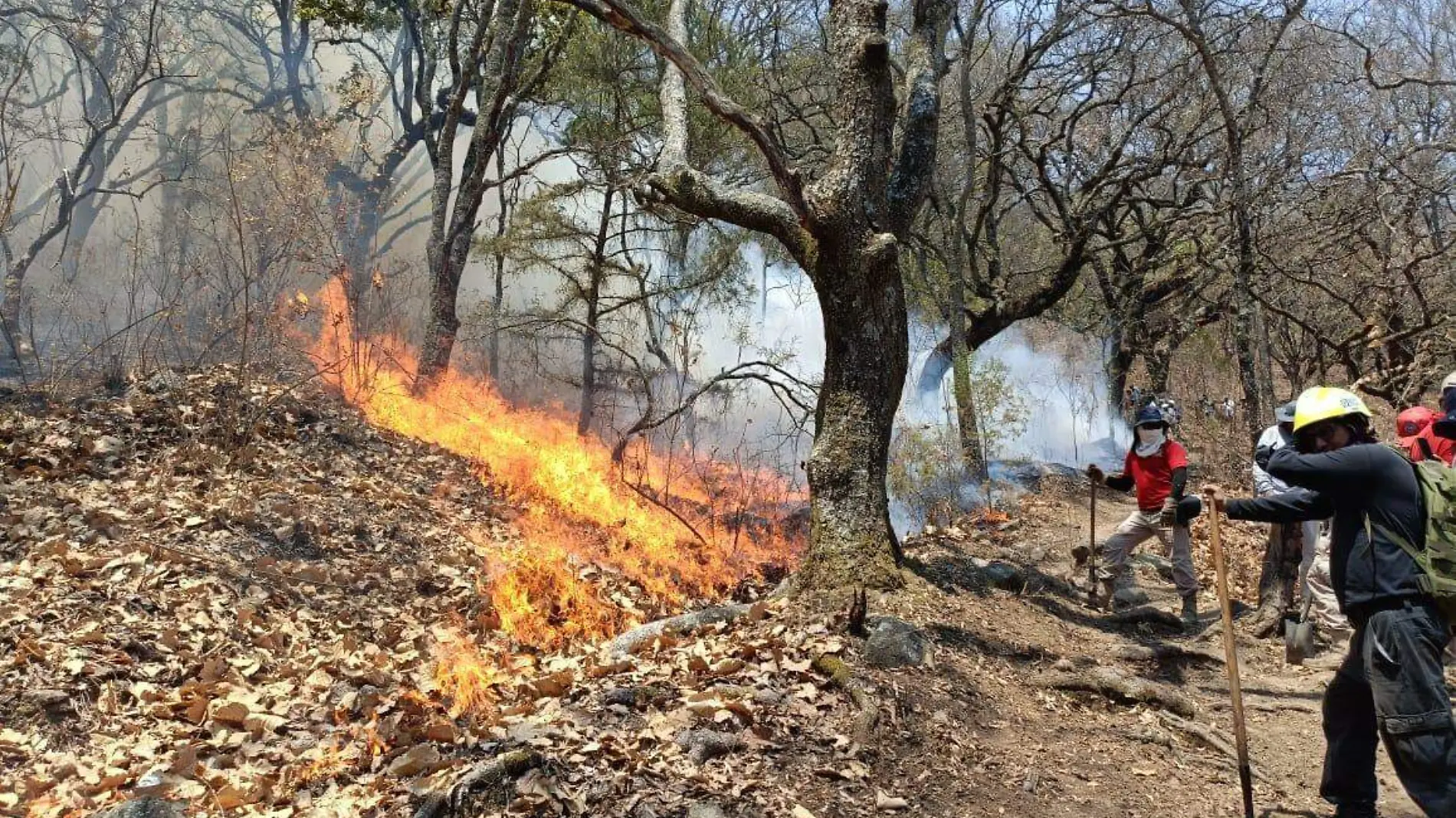 incendio-puente-de-ixtla-1