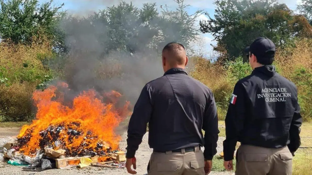 droga-incinerada-fgr (3)
