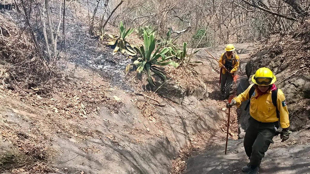 incendio-huautla-cortesía-gobierno-galería (3)