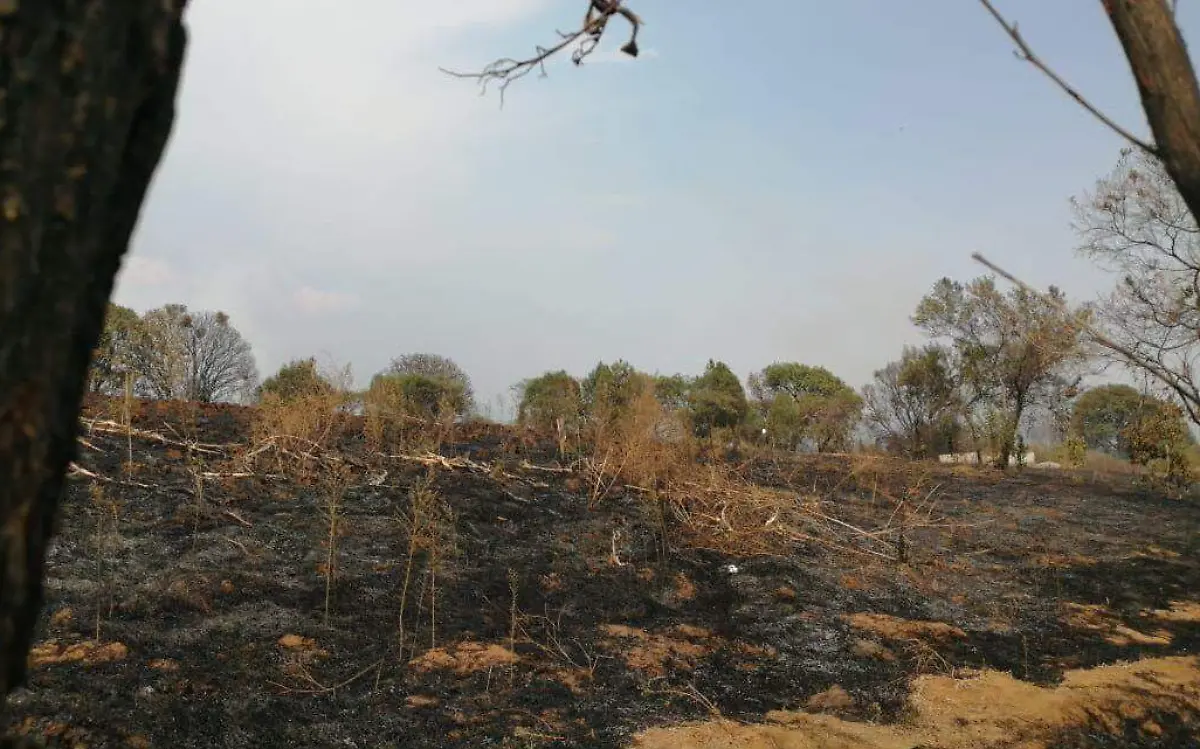 incedio-forestal-ceurnavaca