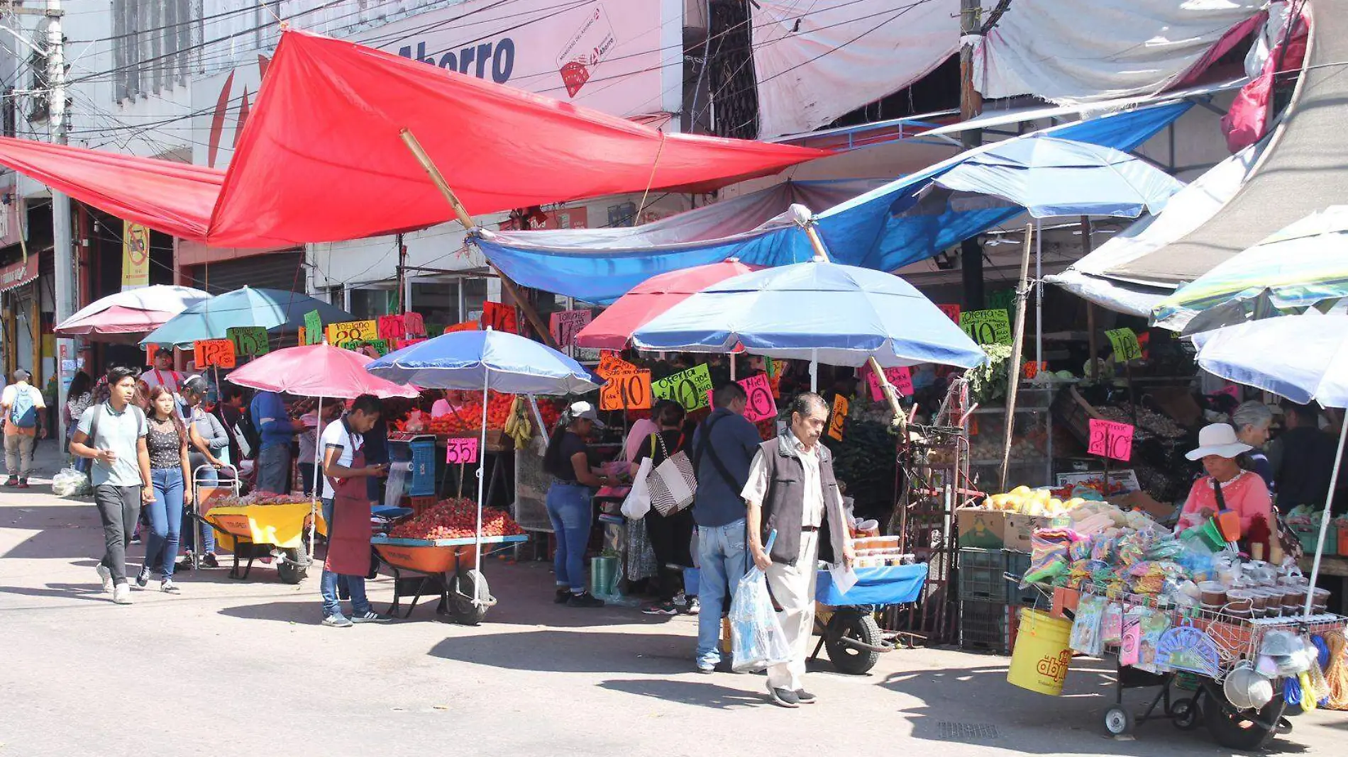 comercio-ambulante-los-caballitos-cuernavaca