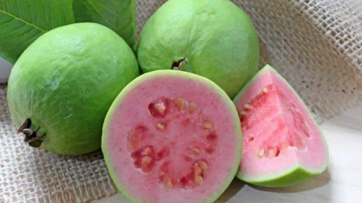 guayaba-rosa-verde-cuernavaca