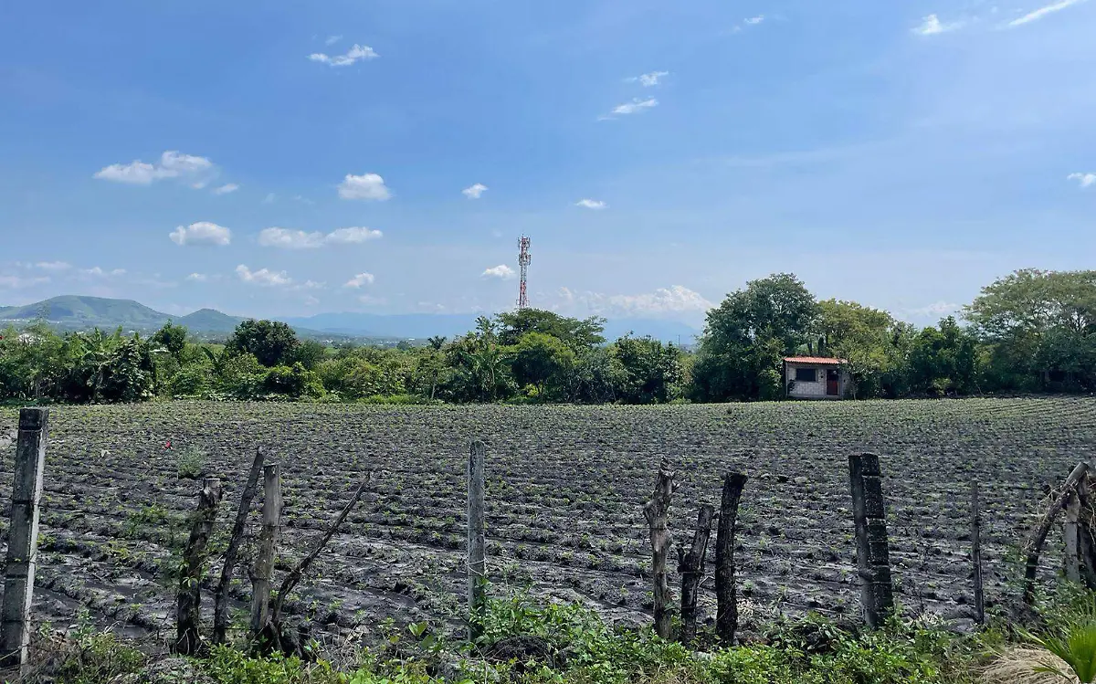 apoyos-campo-sedagro
