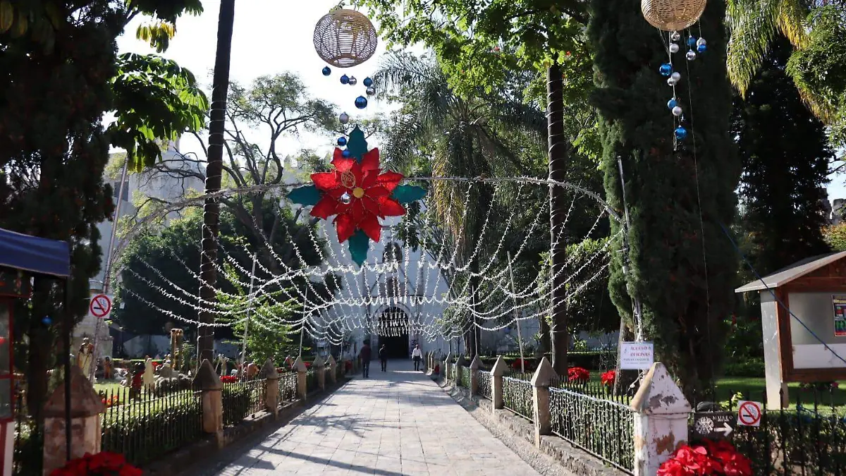 misas-especiales-navidad-luis (3)