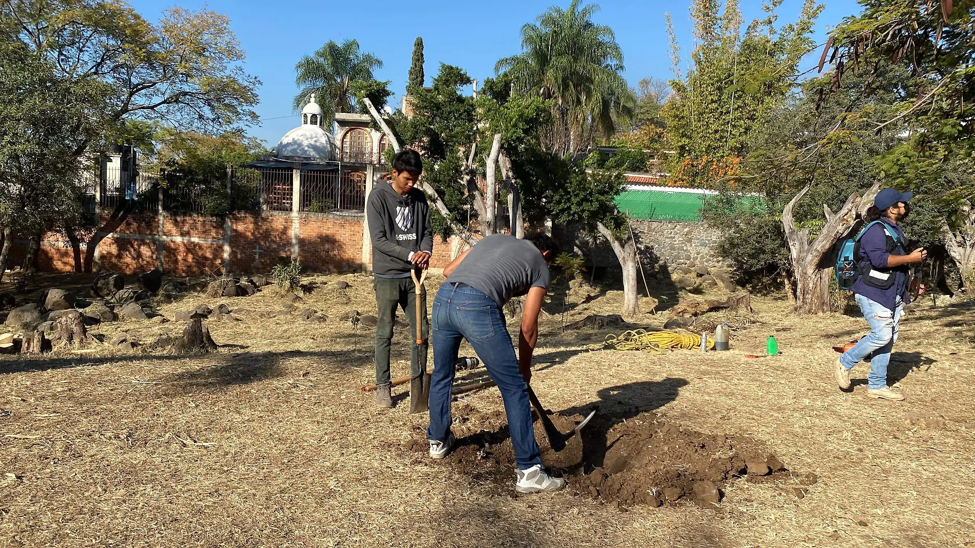 reforestación-parque-siqueiros-cuernavaa