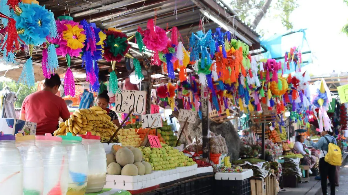 LUIS-F8V Con complicaciones, pero la tradición de la feria de navidad ya llegó al ALM (4)