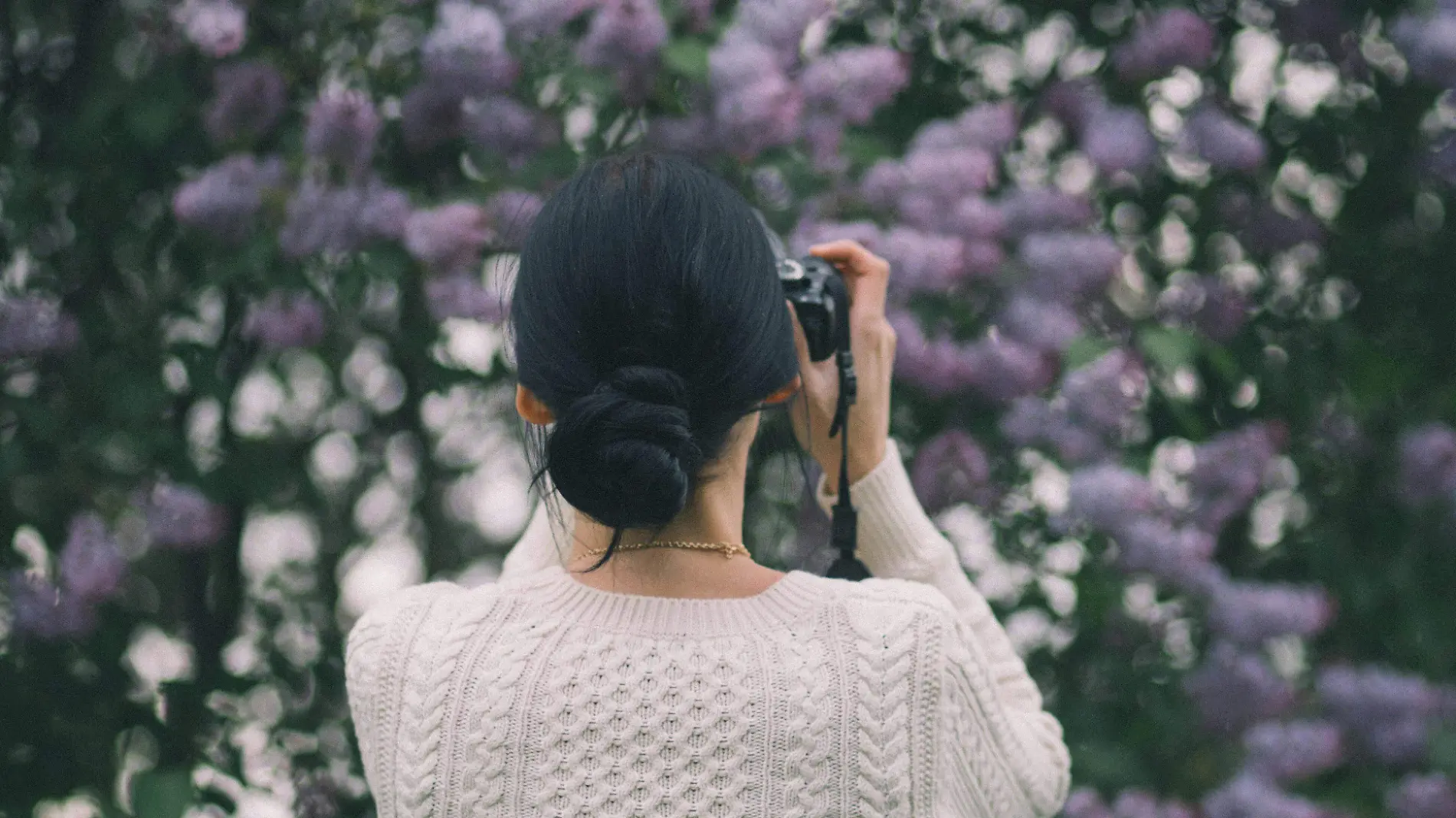 fotografía-naturaleza-concurso