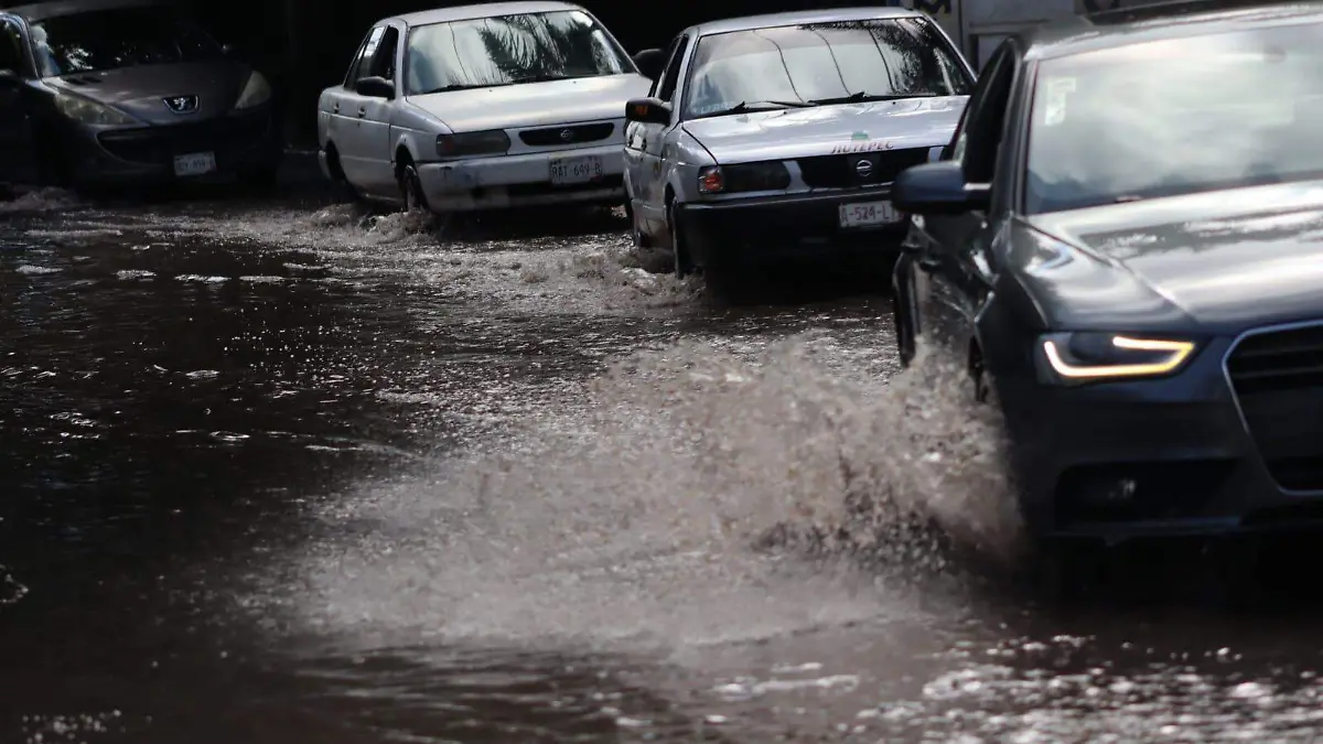 avenida-cuauhtémoc-luis