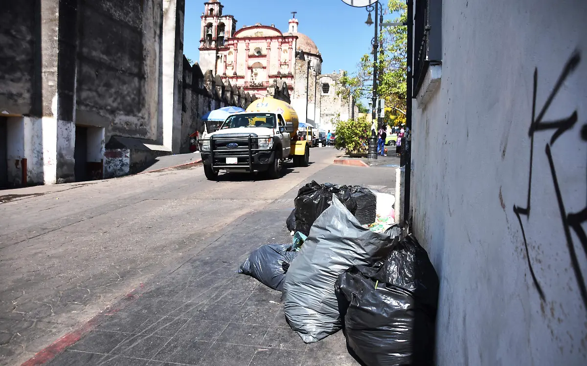 recolección-basura-cuerna-froy