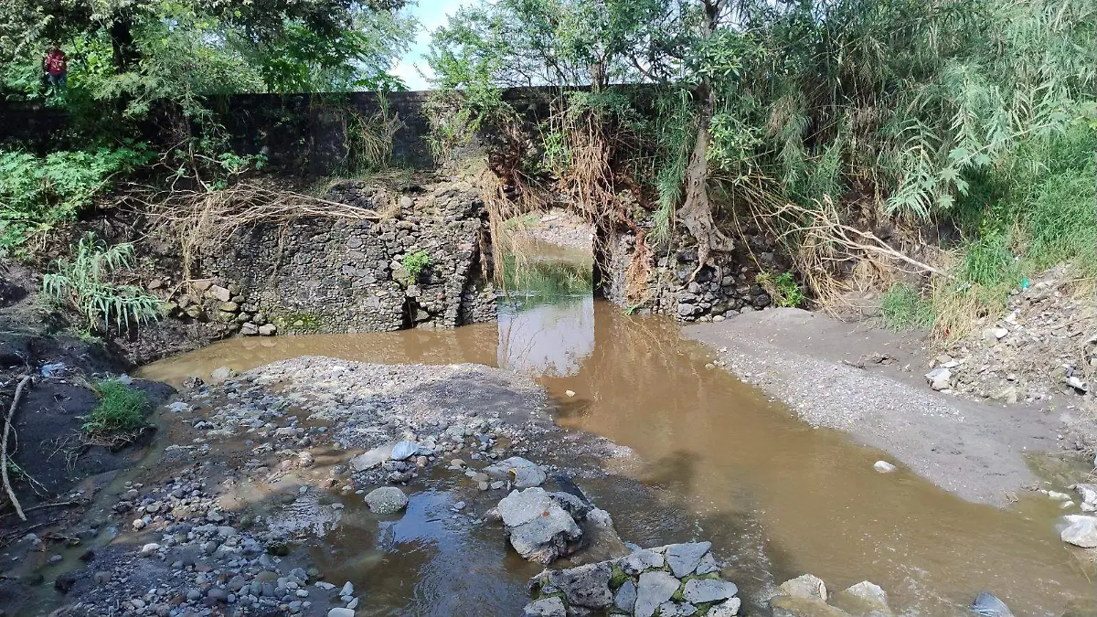 puente-provisional-angelina (3)